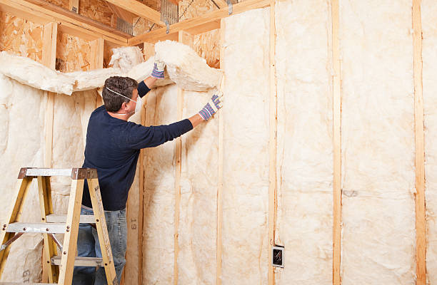 Types of Insulation We Offer in Leisure World, MD